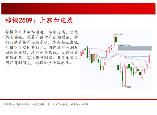 中天期貨:原油500關(guān)口震蕩 棕櫚上漲加速度  第13張