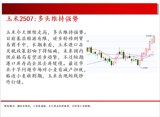 中天期貨:棉花重新走弱 棕櫚探底回升  第7張