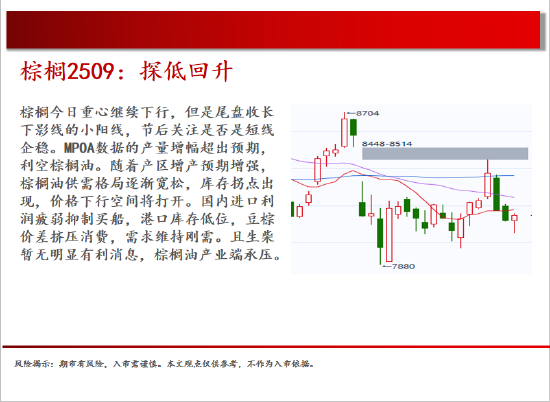 中天期貨:棉花重新走弱 棕櫚探底回升  第13張