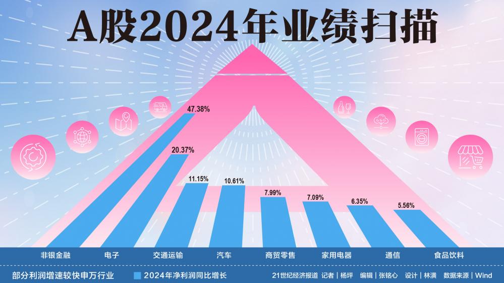 A股2024年業(yè)績掃描  第1張