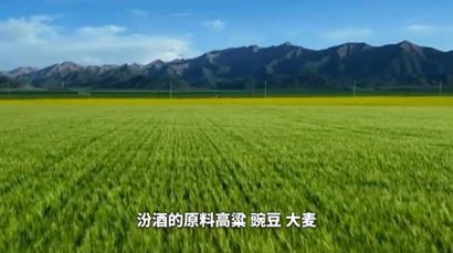 時間沉香，品質(zhì)出海：汾酒如何重塑中國白酒的全球表達  第2張