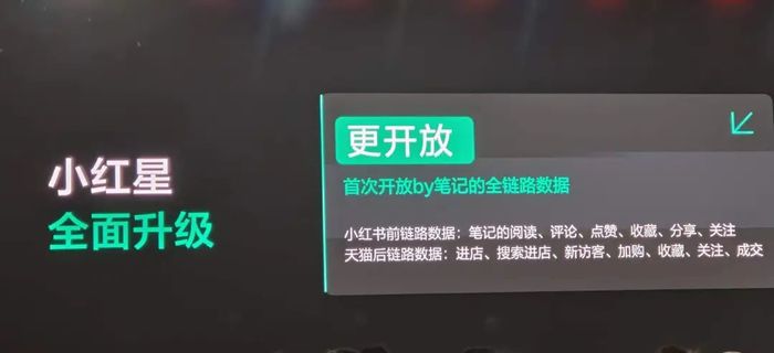 為“淘天”種草，小紅書留下了什么？  第4張