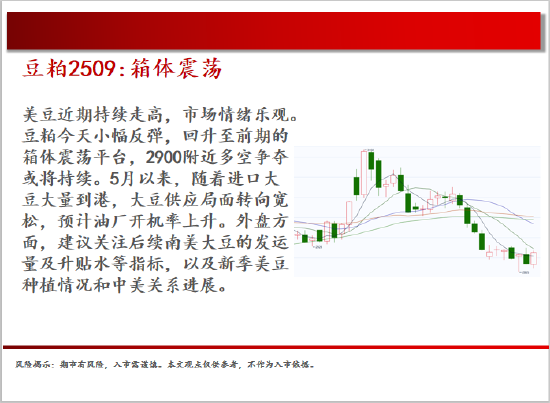 中天期貨:白銀繼續(xù)震蕩 棕櫚大幅反彈  第9張