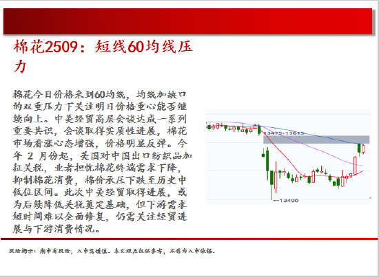 中天期貨:白銀繼續(xù)震蕩 棕櫚大幅反彈  第12張