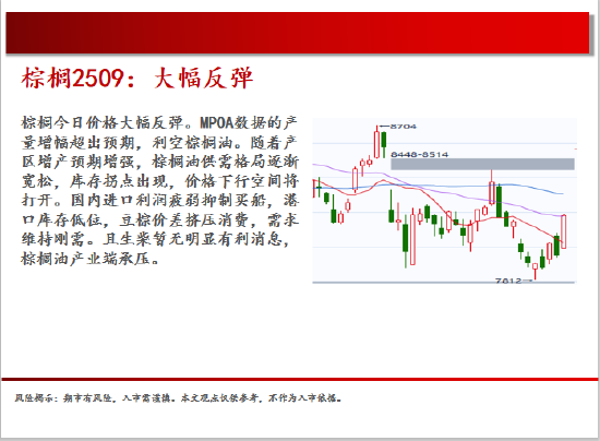 中天期貨:白銀繼續(xù)震蕩 棕櫚大幅反彈  第13張