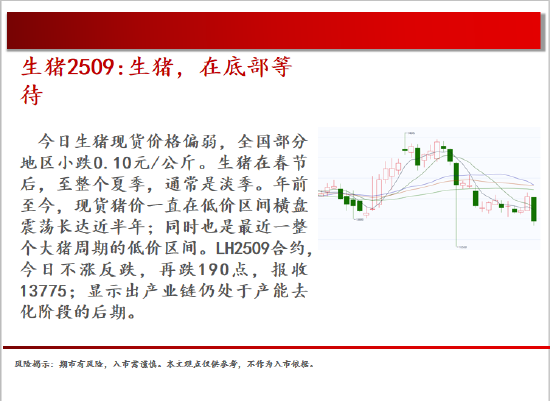 中天期貨:棕櫚震蕩回落 白糖走勢不穩(wěn)  第4張