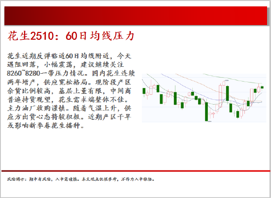中天期貨:棕櫚震蕩回落 白糖走勢不穩(wěn)  第10張