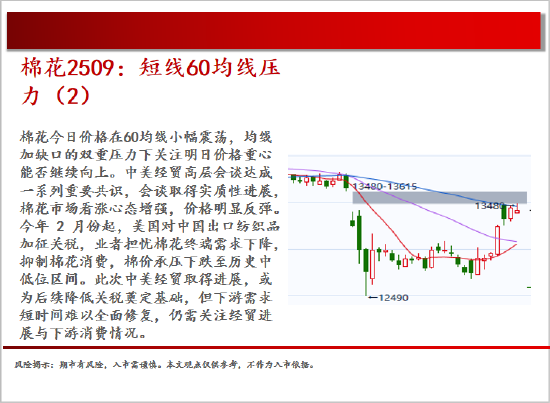 中天期貨:棕櫚震蕩回落 白糖走勢不穩(wěn)  第12張