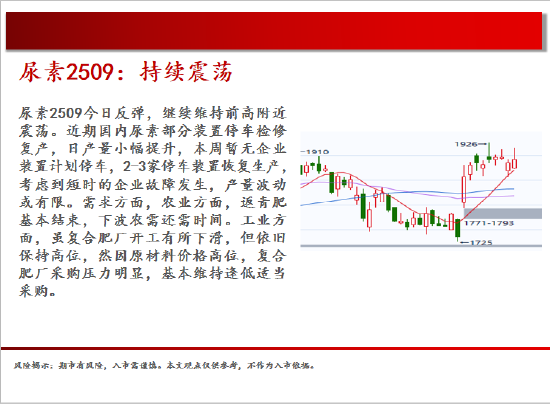 中天期貨:棕櫚震蕩回落 白糖走勢不穩(wěn)  第15張