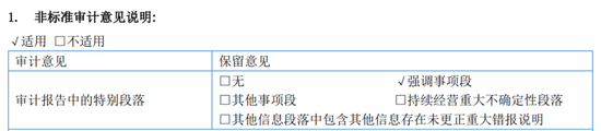 又一A股審計“自爆”！23年IPO上市，次年就財務造假？  第9張