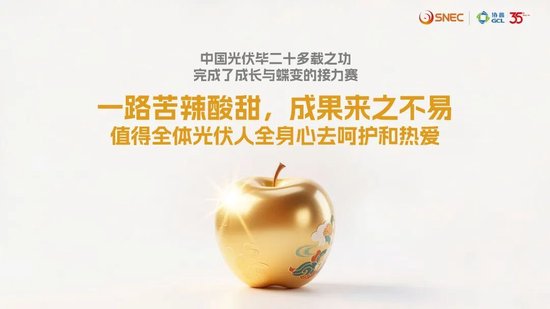 協(xié)鑫集團(tuán)朱共山：以犧牲合理利潤(rùn)為代價(jià)的極致降本、極限競(jìng)爭(zhēng)，無(wú)異于飲鴆止渴  第8張