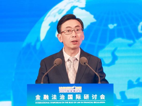 2025陸家嘴論壇“金融法治國際研討會”舉行 聚焦金融開放合作中的國際法治實踐與展望  第17張
