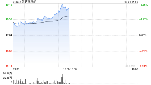 黑芝麻智能盤(pán)中漲超5% 擬回購(gòu)公司股票最高總價(jià)1億元  第1張