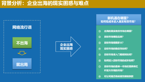 中國聯(lián)合國采購促進(jìn)會宋嘉：企業(yè)出海是一種戰(zhàn)略選擇  第1張